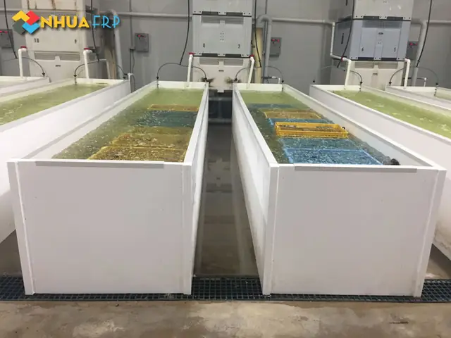 Mô hình nuôi cá trắm cỏ trong ao composite hiện đại giúp tối ưu hóa năng suất và kiểm soát chất lượng