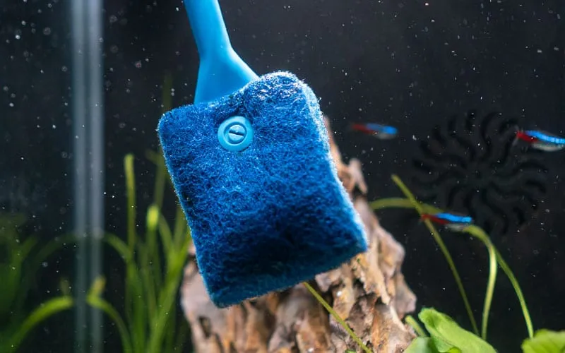 Vệ sinh định kỳ giúp giá thể lông cuồng luôn giữ được chức năng lọc nước