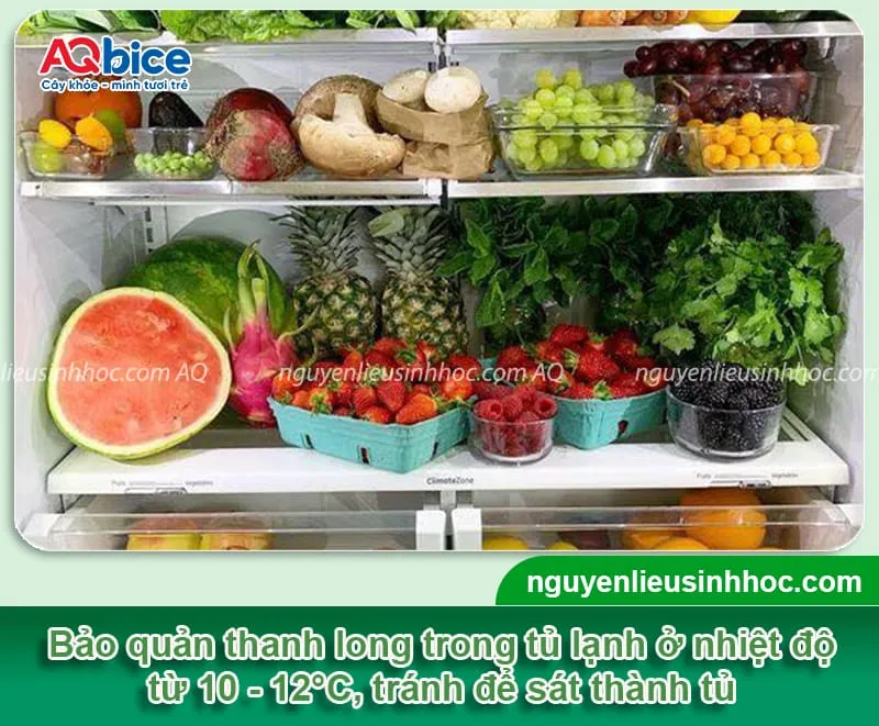 cach-bao-quan-thanh-long-trong-tu-lanh Bảo quản đúng cách giúp thanh long Bạch Tâm mini giữ được độ giòn và ngọt lâu hơn