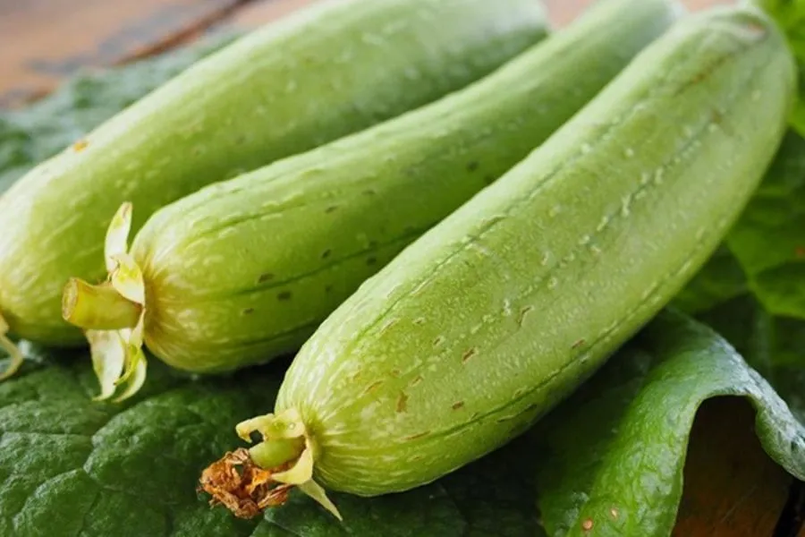 Sử dụng mướp hương sạch tự trồng mang lại nhiều lợi ích to lớn cho sức khỏe