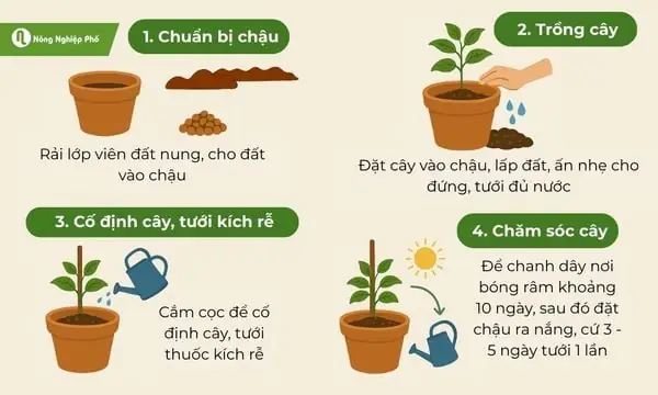 cach-lam-dat-trong-bonsai-7aa1b1 Chuẩn bị giá thể đất trồng giàu dinh dưỡng và thoát nước tốt cho nhãn bonsai