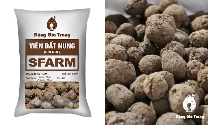 Sự đa dạng của các loại giá thể giúp tối ưu hóa sự phát triển của lan Oncidium