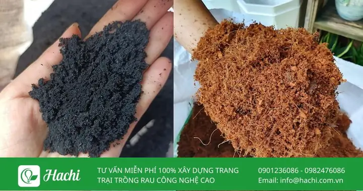 Sự kết hợp giữa vỏ sò và vi sinh vật giúp cải tạo cấu trúc đất trở nên tơi xốp và thoáng khí hơn
