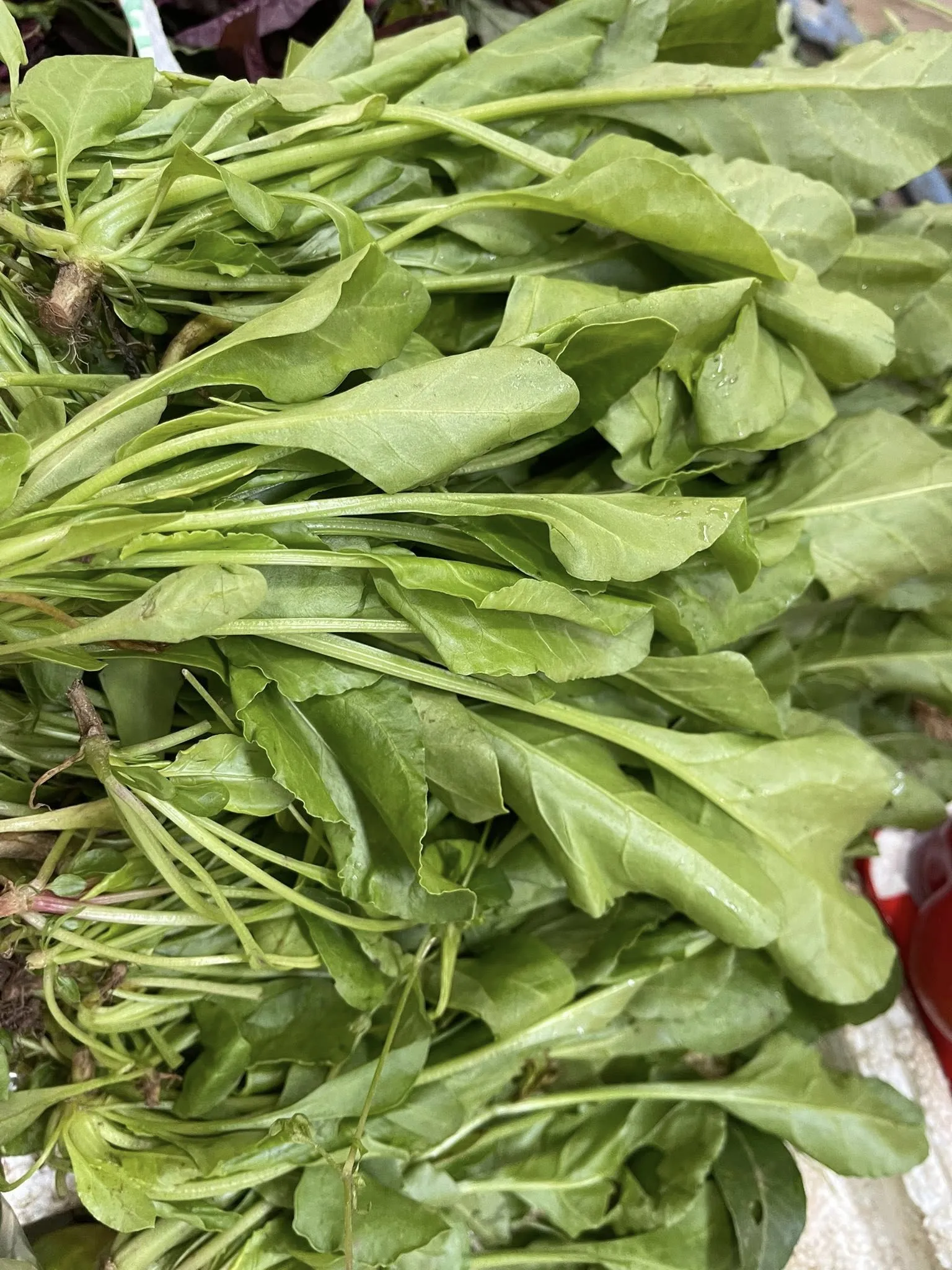 Chế độ ăn giàu cải bẹ đen giúp phụ nữ duy trì sắc diện hồng hào và sức khỏe dẻo dai