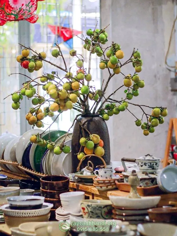 Sở hữu nguồn trái cây sạch giàu dinh dưỡng ngay tại không gian sống nhờ mô hình cam sành trồng chậu