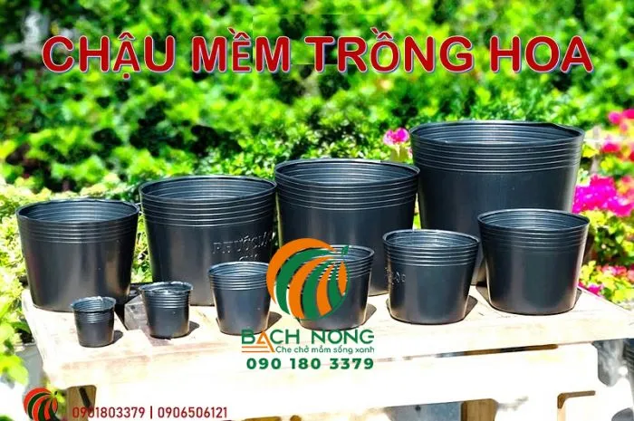 chau-nhua-mem-den-chat-luong-cao Chậu nhựa là lựa chọn tối ưu về chi phí và tính linh hoạt cho người trồng rau tại nhà