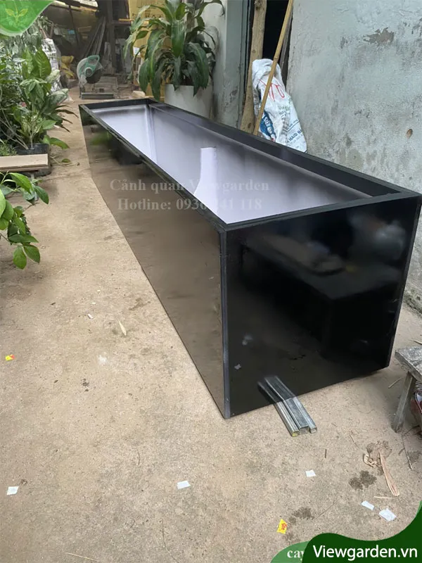Lựa chọn kích thước chậu phù hợp giúp bộ rễ bưởi phát triển khỏe mạnh