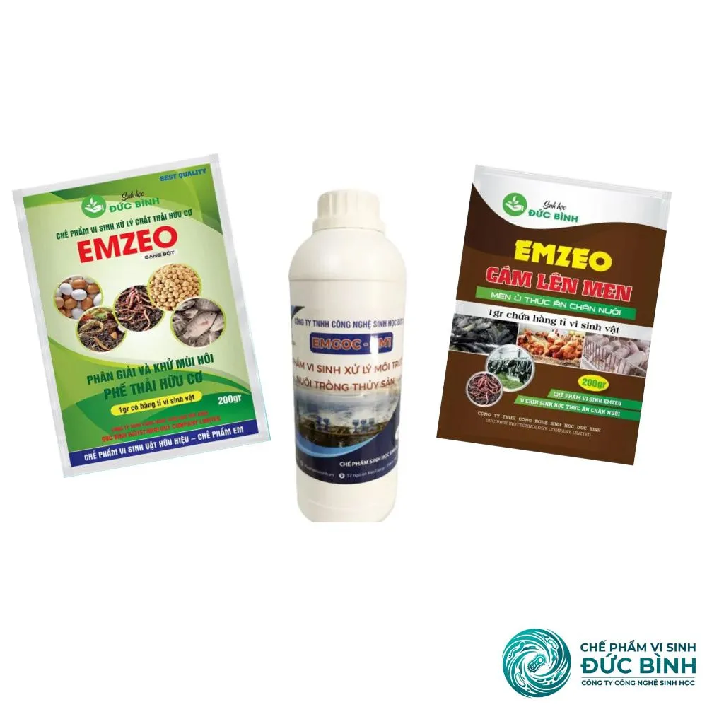 Sự kết hợp giữa vi sinh EM1 và nước gạo tạo ra dung dịch ủ phân mạnh mẽ