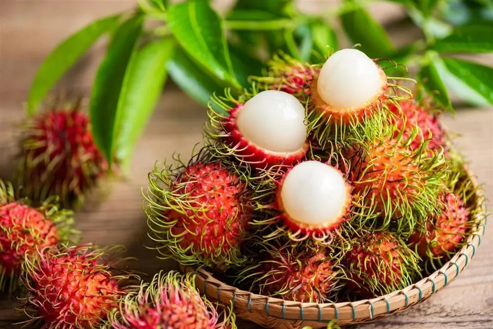 chom-chom Trái chôm chôm mini có vẻ ngoài bắt mắt và hương vị chua ngọt hài hòa