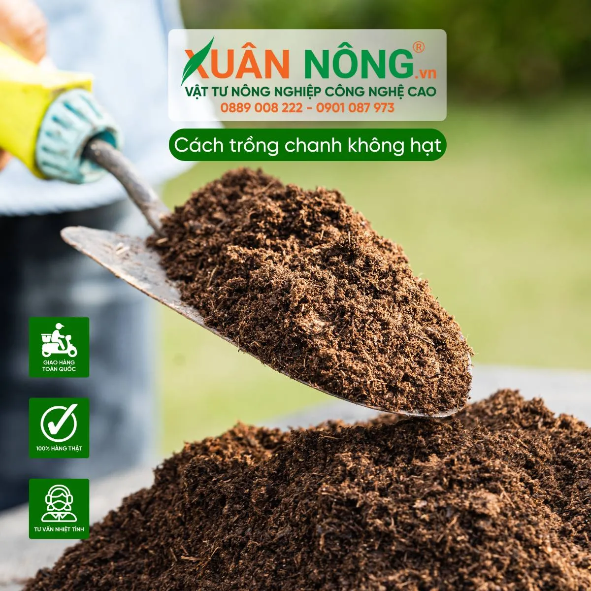 Chuẩn bị giá thể thoát nước tốt là bước quan trọng nhất khi trồng chanh trong chậu