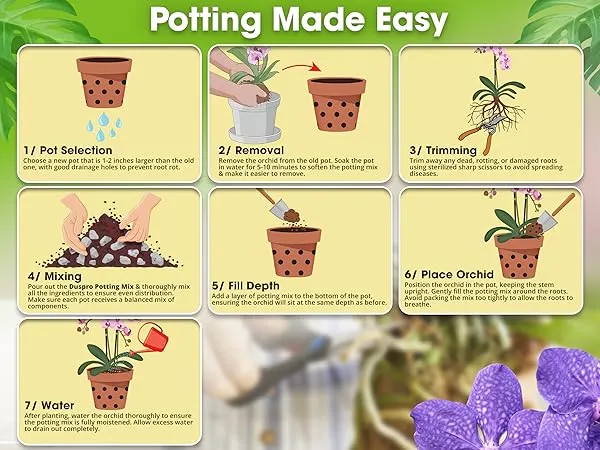 Sắp xếp giá thể theo từng lớp giúp tối ưu hóa khả năng thoát nước và thoáng khí