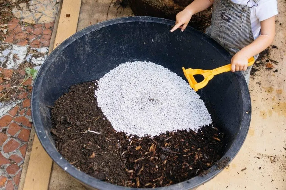 Phối trộn than bùn với đá Perlite giúp tăng cường độ thông thoáng cho rễ