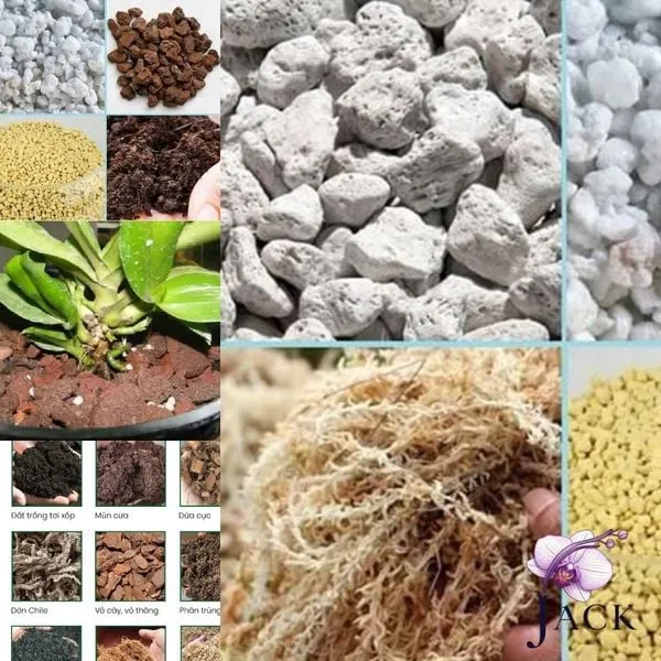 Phối trộn giá thể theo tỷ lệ hợp lý là bước quan trọng để lan ra hoa đạt chuẩn