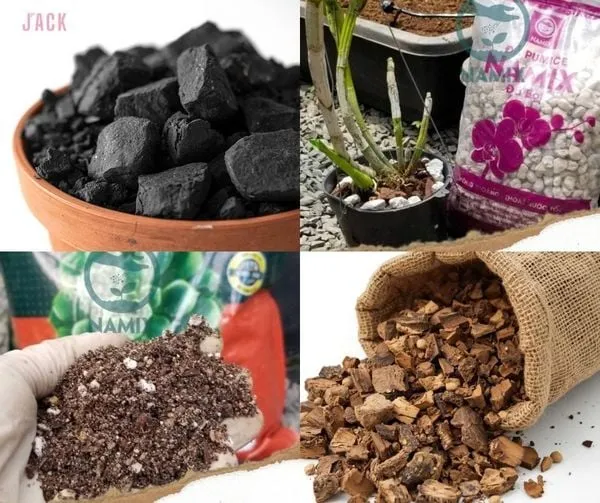 Lựa chọn và phối trộn giá thể đúng tiêu chuẩn cho rau bạc hà phát triển
