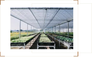gioi-thieu-chung-ve-luoi-chong-nang-300x186-1 Sử dụng lưới che nắng giúp điều tiết nhiệt độ và ánh sáng cho vườn rau ban công