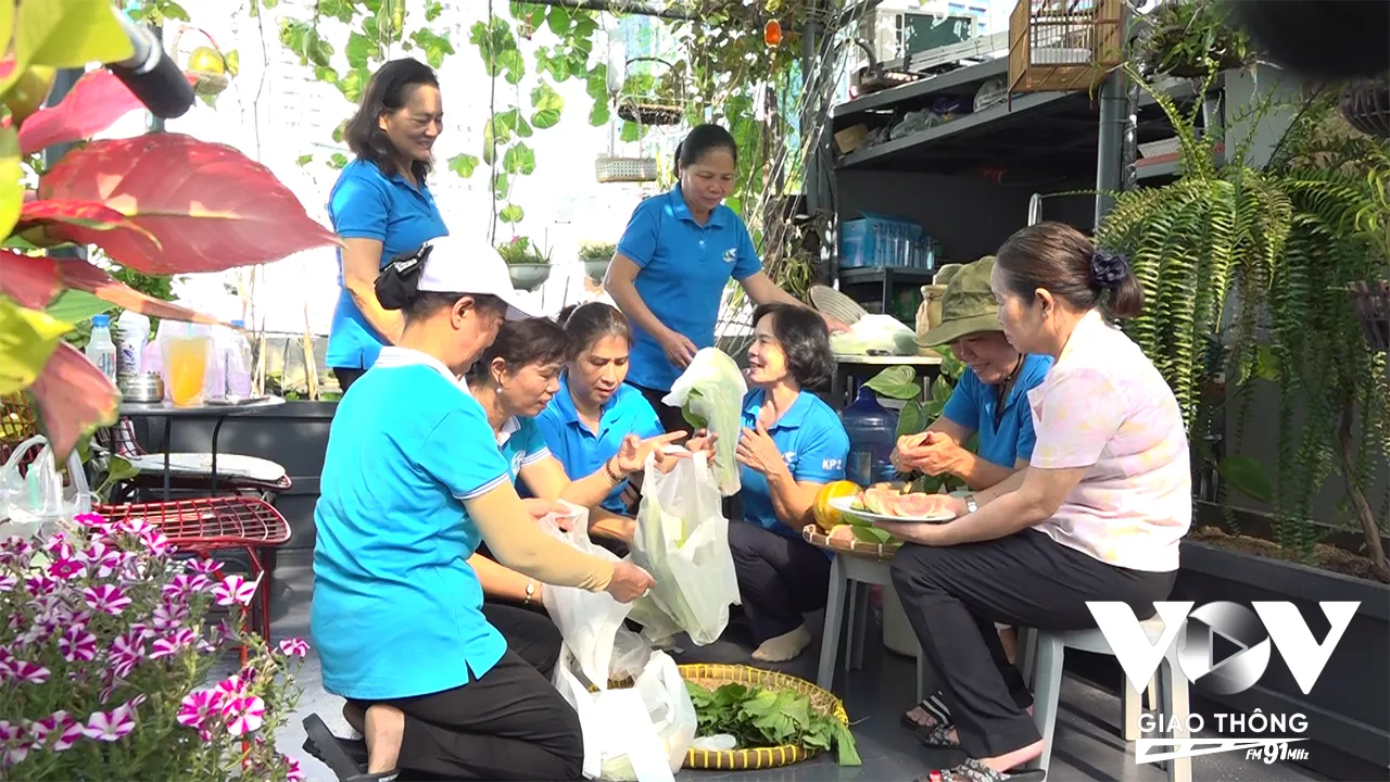 Niềm vui thu hoạch trái ngọt từ mô hình trồng mít chậu nhựa tại nhà