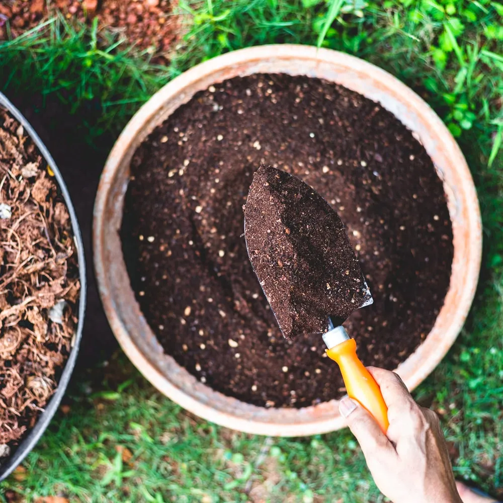 homemade-compost-4 Sự kết hợp hoàn hảo giữa phân trùn quế và vỏ chuối giúp tạo ra nguồn dinh dưỡng tuyệt vời cho cây trồng