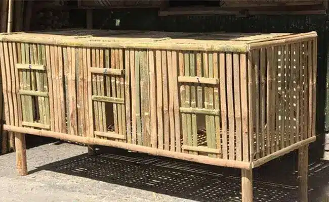 Thiết kế chuồng trại đúng tiêu chuẩn giúp bảo vệ đàn gà khỏi dịch bệnh và thời tiết khắc nghiệt