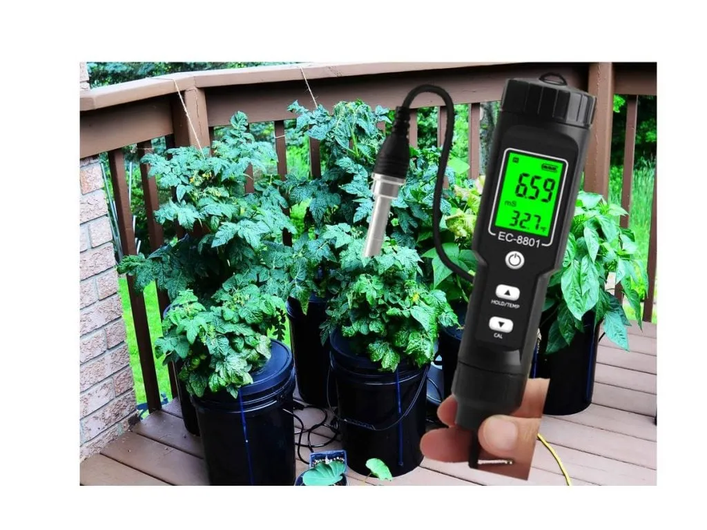 Kiểm tra các chỉ số kỹ thuật là bước quan trọng để cây phát triển ổn định