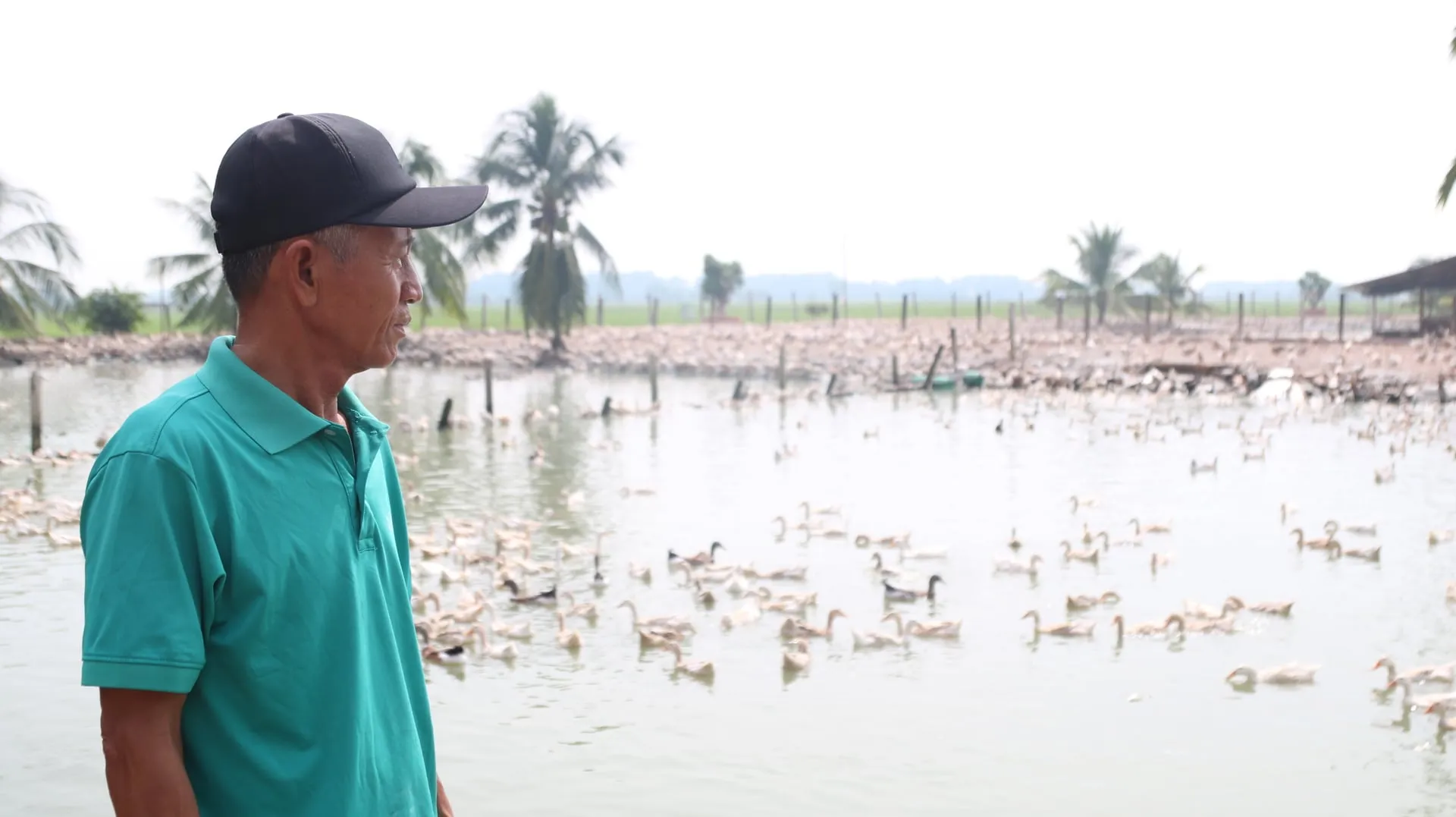 Chế độ dinh dưỡng tự nhiên là chìa khóa tạo nên hương vị trứng ngọt thanh
