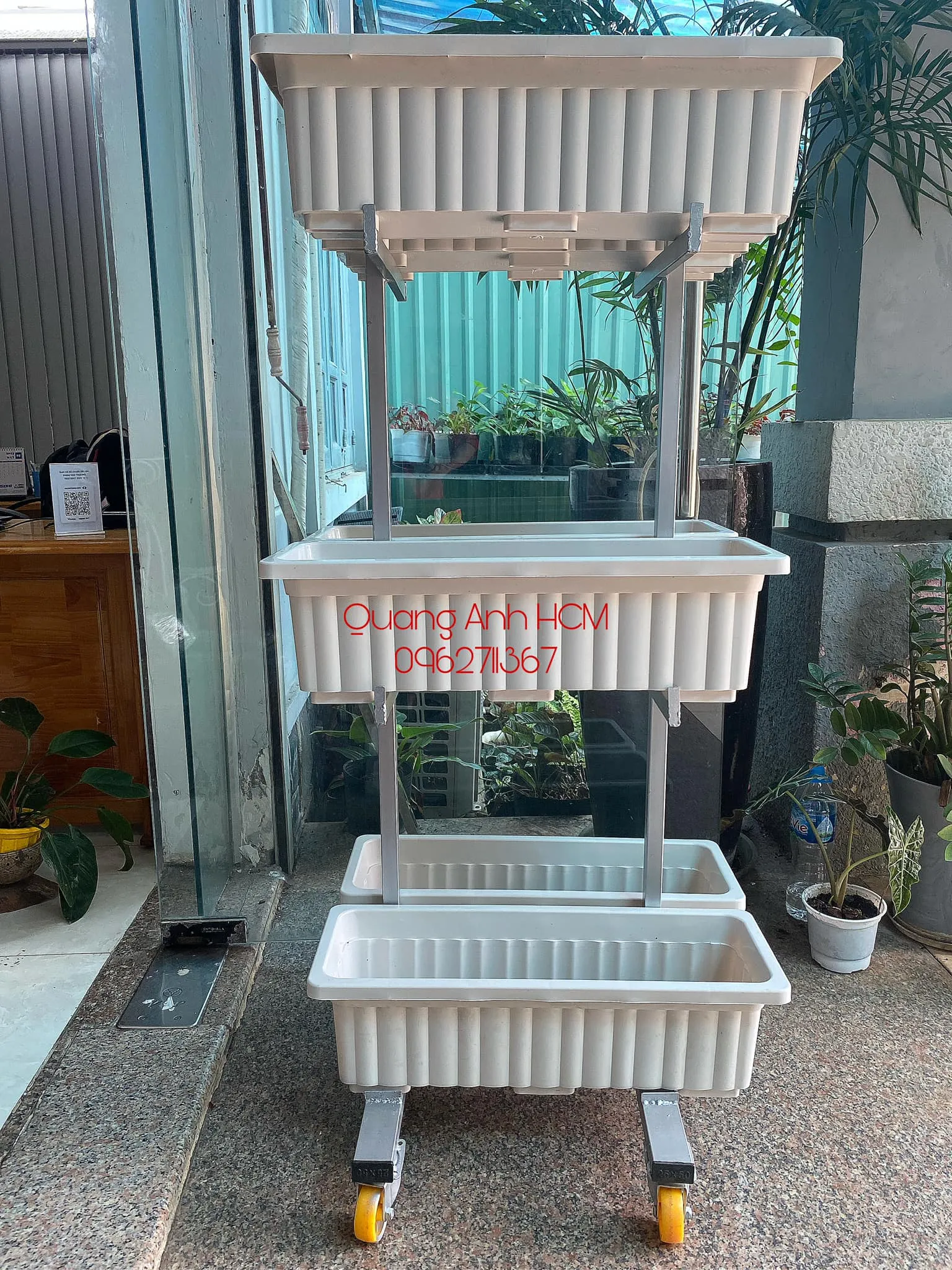 Sử dụng chậu nhựa giúp tối ưu hóa không gian trồng rau tại các căn hộ có diện tích nhỏ