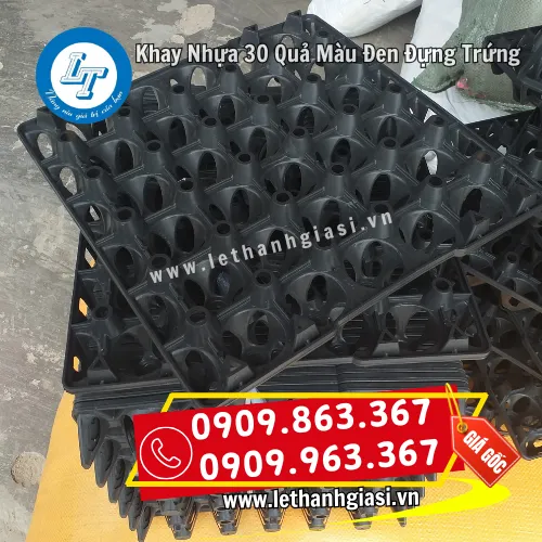 Trứng cút Nhật lông đen có giá trị dinh dưỡng cao và vỏ ngoài cứng cáp