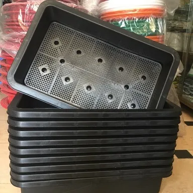 Khay nhựa đúc trồng rau 60x40 là giải pháp tối ưu cho nông nghiệp sạch tại nhà