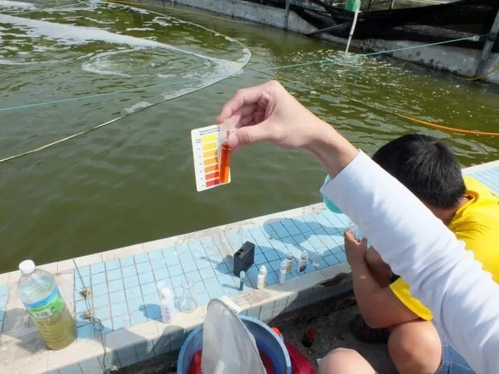 Kiểm tra các chỉ số môi trường nước định kỳ là chìa khóa để tôm sú phát triển khỏe mạnh