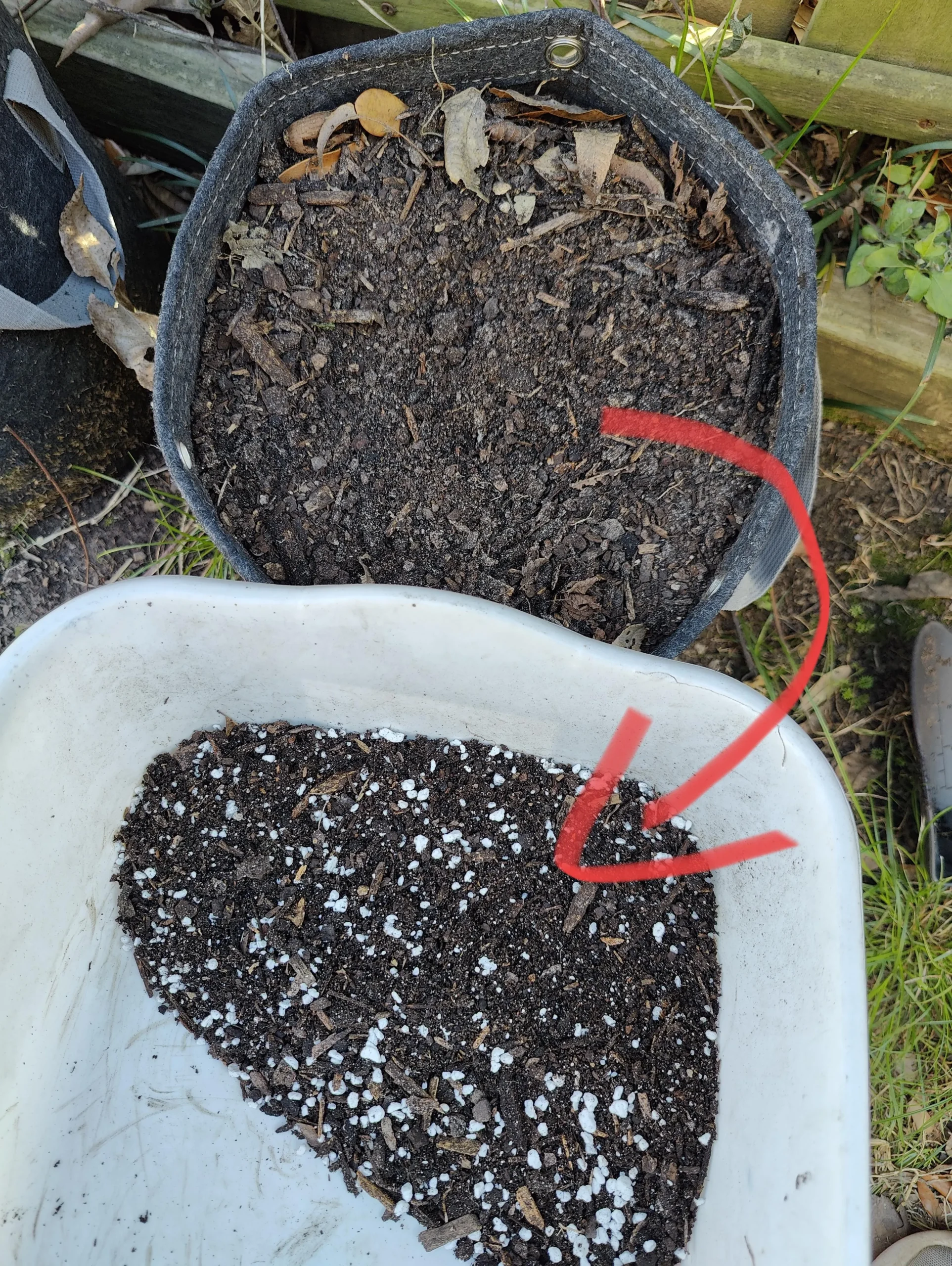 Quy trình phối trộn đá Perlite với phân hữu cơ để tạo ra giá thể trồng cây hoàn hảo