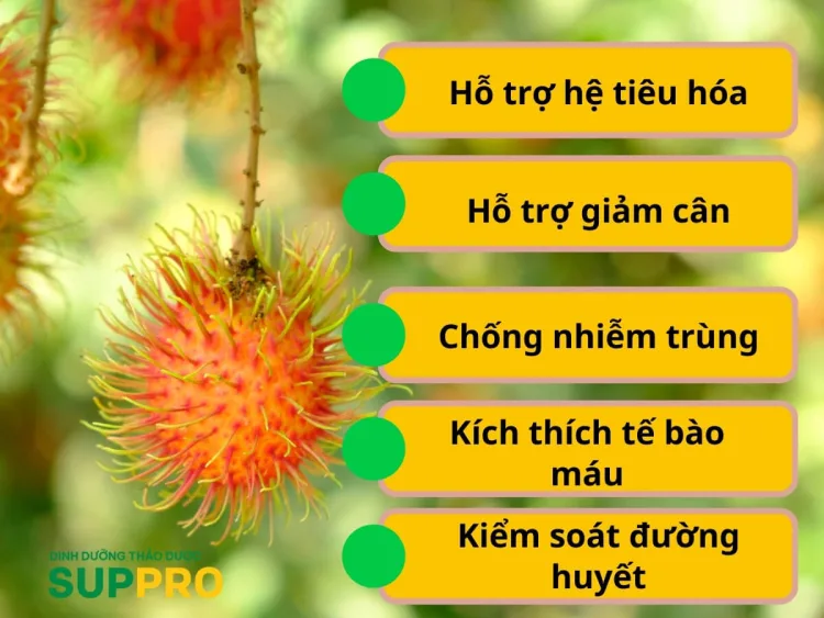 Chôm chôm Rong Riêng chứa nhiều vitamin và khoáng chất có lợi cho sức khỏe