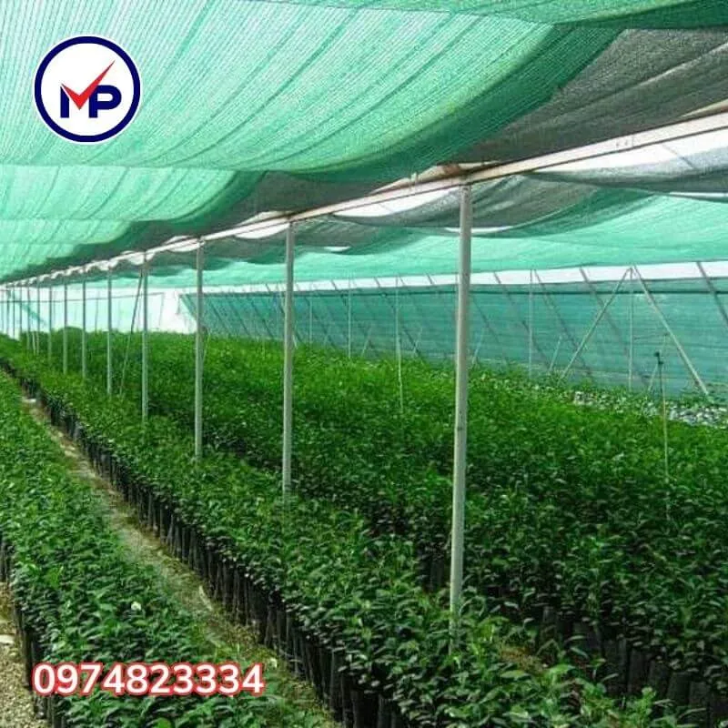 Mô hình vườn rau sạch phát triển tối ưu nhờ hệ thống lưới che nắng 75 UV hiện đại