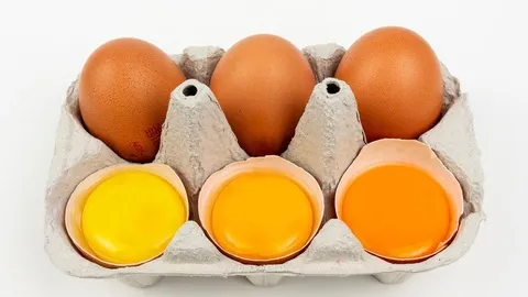 Lòng đỏ màu cam đậm là minh chứng cho giá trị dinh dưỡng cao của trứng vịt Ô Pélu