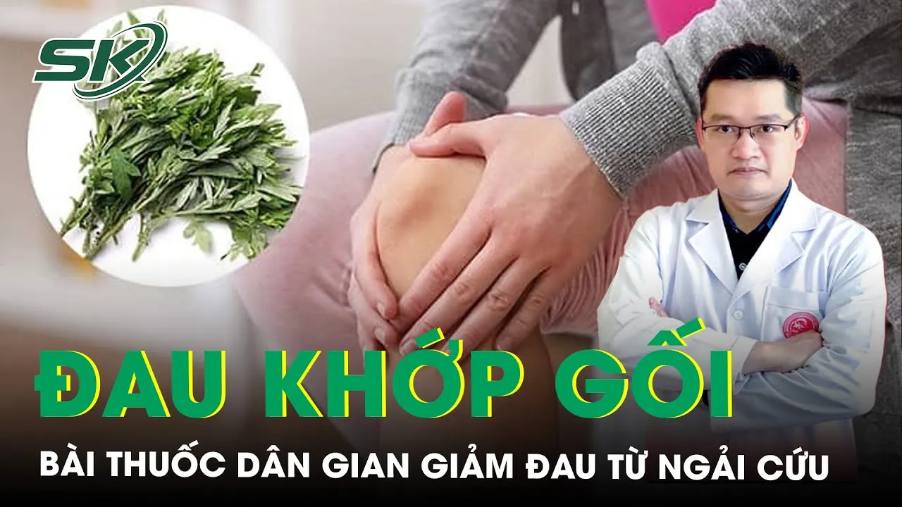 maxresdefault-34 Ngải cứu là bài thuốc hữu hiệu giúp giảm đau nhức xương khớp khi thời tiết chuyển lạnh