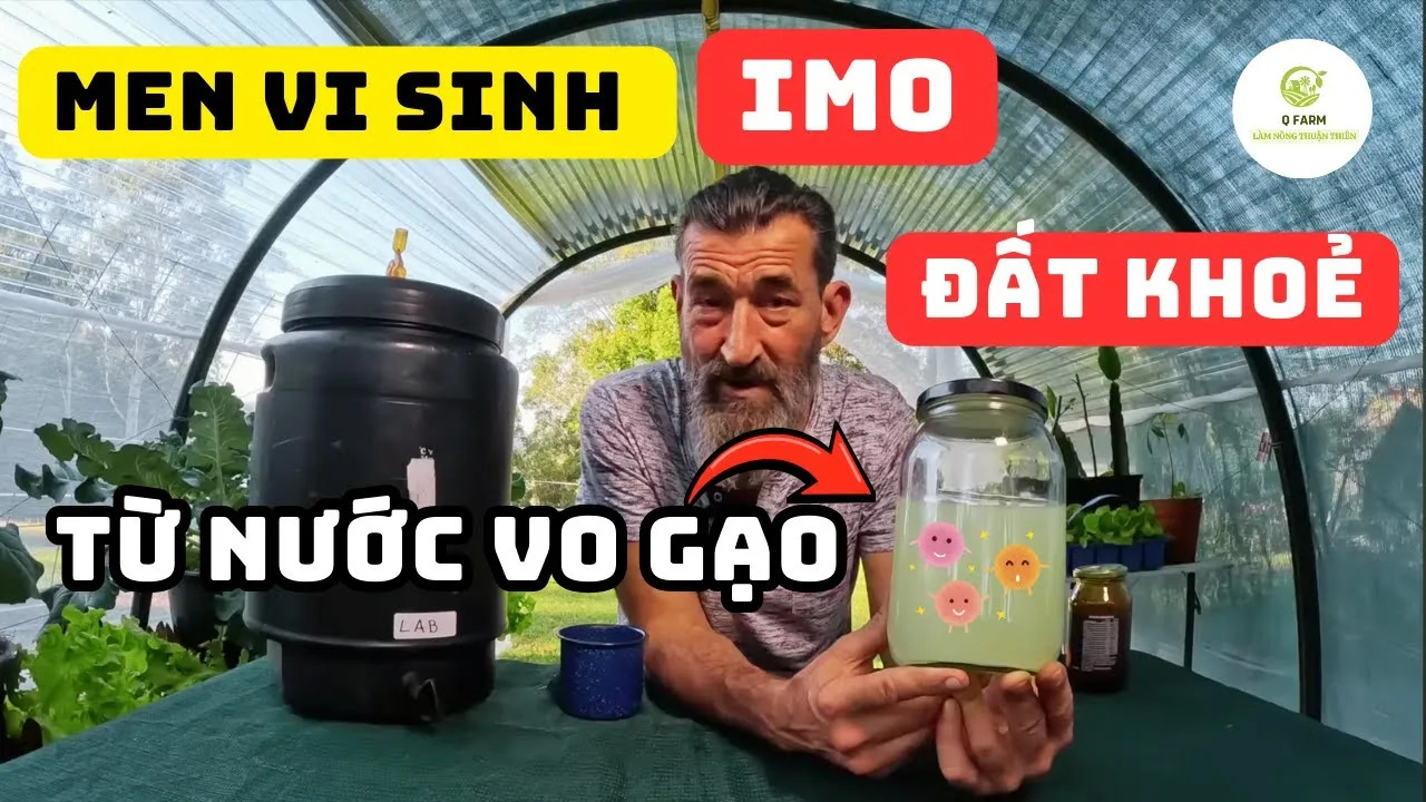 Quy trình nhân sinh khối EM1 tại nhà giúp tiết kiệm chi phí