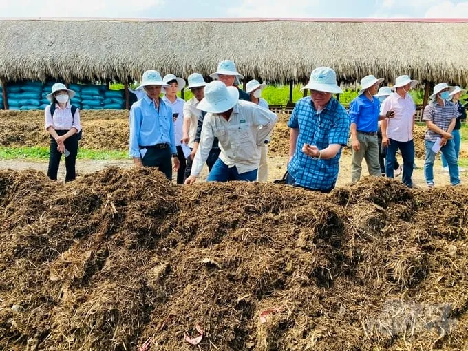 may-nghien-rom-ra-giup-tao-phan-compost-nhanh-hon Cấu trúc rỗng của rơm rạ giúp giữ ẩm tối ưu cho bộ rễ