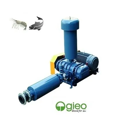 Hệ thống sục khí hiện đại đảm bảo hàm lượng oxy hòa tan tối ưu cho tôm