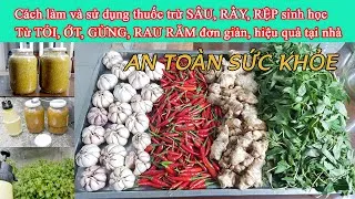 mqdefault-2 Sử dụng các giải pháp tự nhiên để bảo vệ vườn rau thơm khỏi sâu bệnh