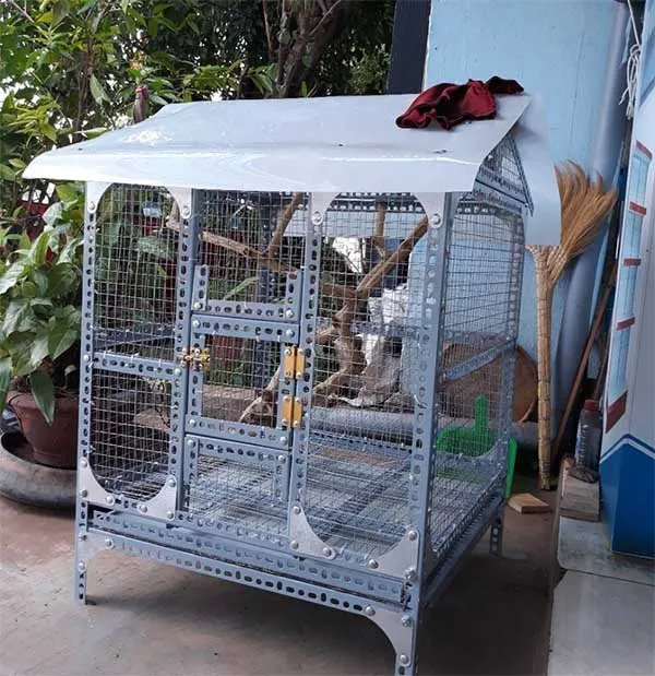 Bố trí chuồng nhựa ở nơi thoáng mát cao ráo là chìa khóa để gà nòi phát triển toàn diện