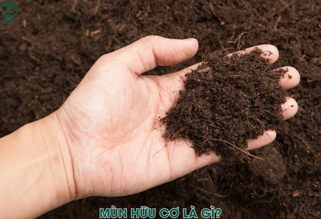 Phân hữu cơ thành phẩm giàu mùn giúp cải tạo đất bền vững