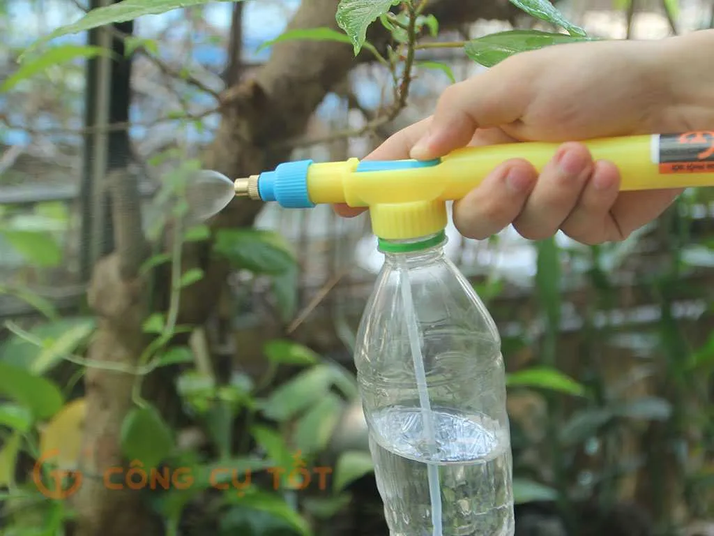 Kỹ thuật tưới phun sương giúp rau má trồng xơ dừa phát triển đồng đều