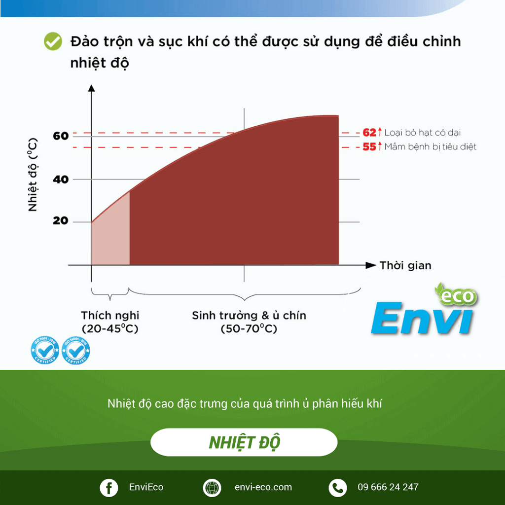 Các yếu tố môi trường quyết định hiệu quả của men cellulase