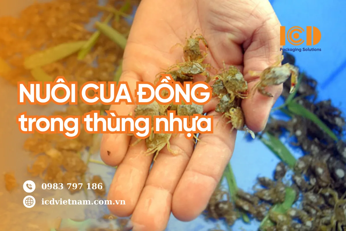 nuoi-cua-dong-trong-thung-nhua-1 Kiểm soát môi trường nuôi trong bể nhựa giúp cua phát triển khỏe mạnh và ít dịch bệnh