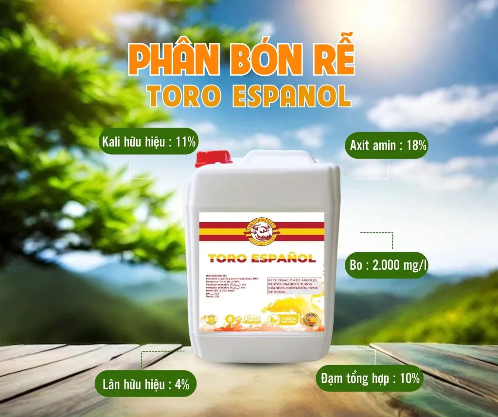 Phân đồng vỏ ức tôm giúp kích thích bộ rễ phát triển mạnh mẽ và bền bỉ trước áp lực nấm bệnh