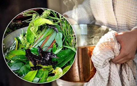photo-1691313227676-16913132278391877380809 Xông hơi bằng kinh giới đỏ là phương pháp dân gian hiệu quả để giải độc và trị cảm