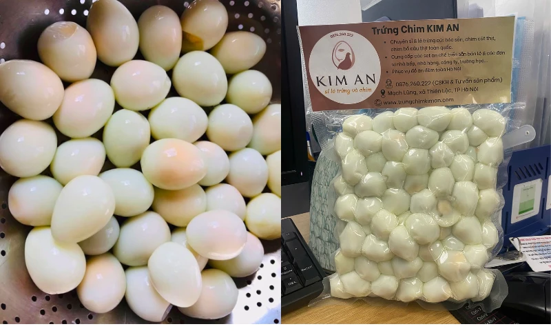 Trứng cút trắng sạch có giá trị thương mại cao và nhu cầu thị trường lớn