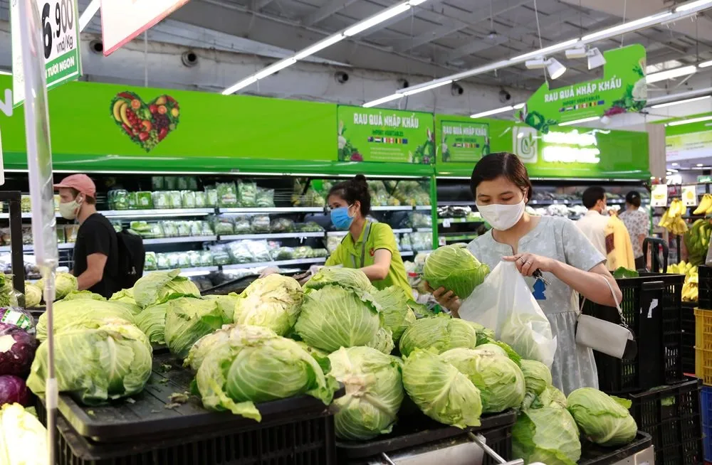 Lựa chọn rau cải cúc thủy canh có nguồn gốc rõ ràng giúp đảm bảo chất lượng bữa ăn gia đình