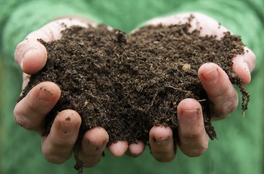 Thành phẩm phân compost chất lượng cao sẵn sàng để nuôi dưỡng cây trồng trong vườn