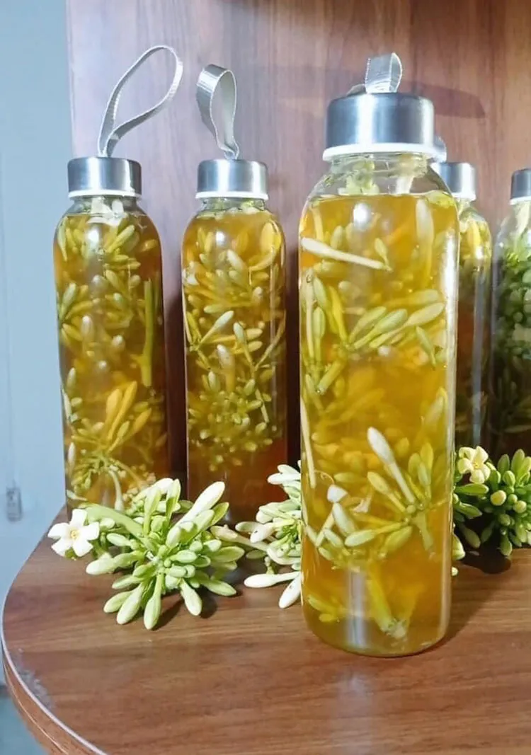 Nước lá đu đủ đực sau khi đun có màu vàng hổ phách đặc trưng