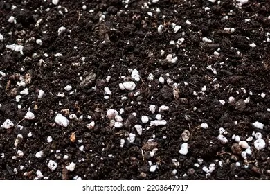 Cấu trúc xốp rỗng của đá Perlite giúp tạo ra các khoảng không khí quan trọng trong đất