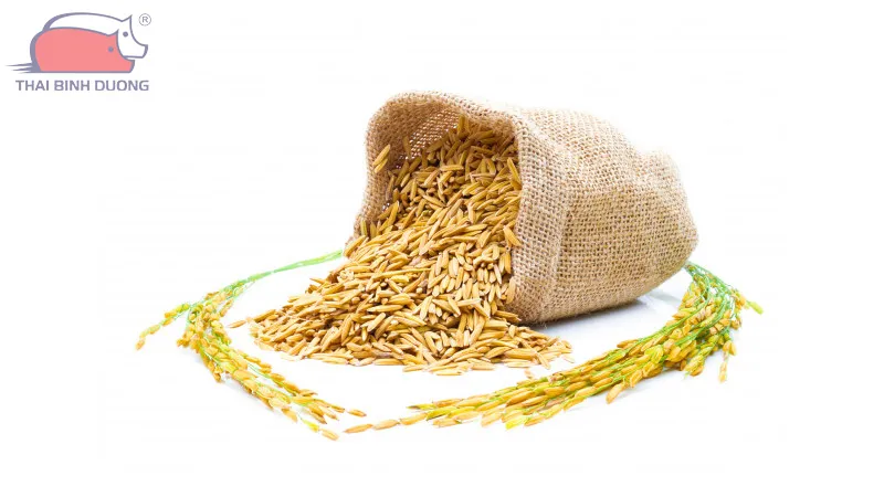 Chế độ dinh dưỡng đa dạng và giàu canxi giúp gà phát triển gân cốt toàn diện